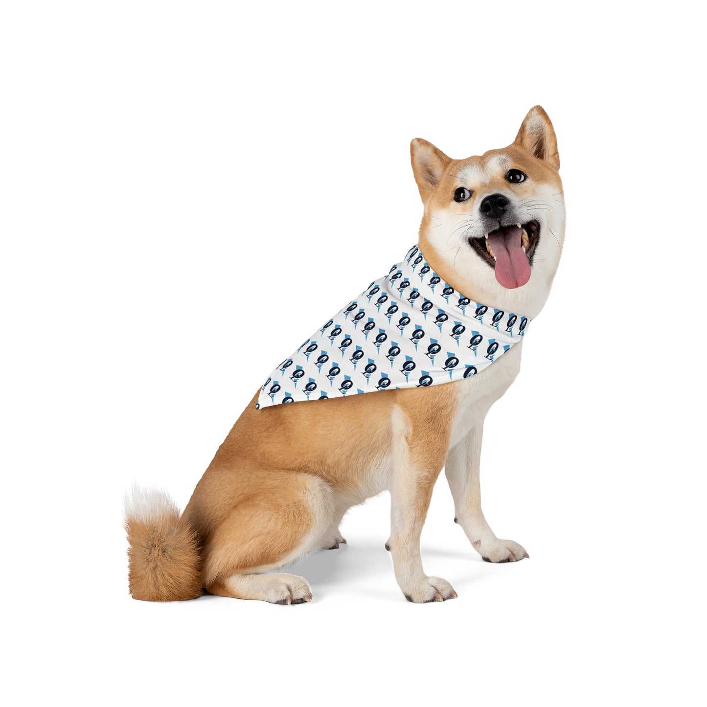 Lightning Small to Medium Pet Bandana
