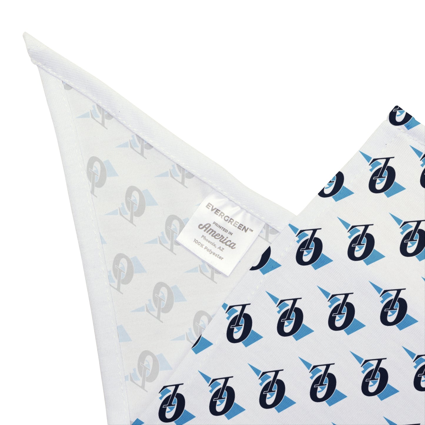 Lightning Small to Medium Pet Bandana