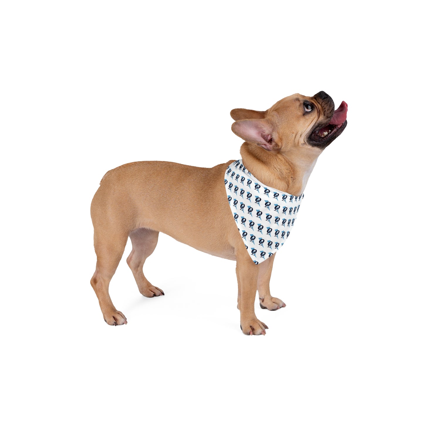 Lightning Small to Medium Pet Bandana